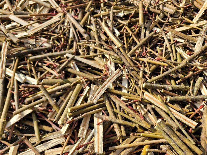 이은정님의 장터 판매 상품 [벌나무 산청목 건가지 1kg] 첨부 사진