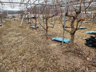 최상길 님의 자유주제 · 사진전 작성글 사진