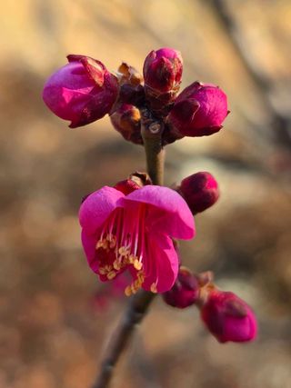 안길원님의 자유주제 · 자유게시판 작성글 사진