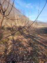 행복농원님의 자유주제·자유게시판 작성글 사진