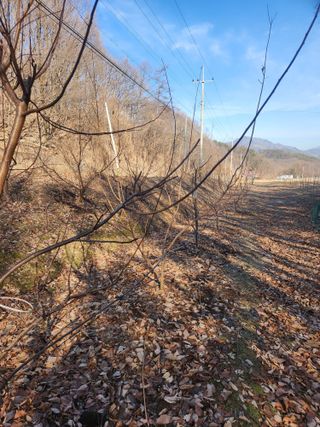 행복농원님의 자유주제 · 자유게시판 작성글 사진