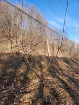 행복농원님의 자유주제·자유게시판 작성글 사진