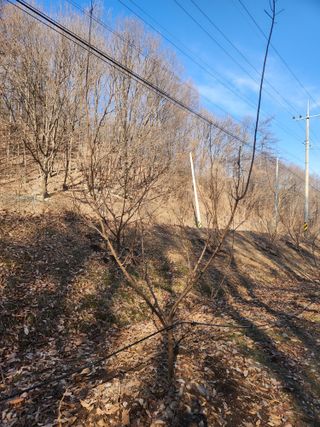 행복농원님의 자유주제 · 자유게시판 작성글 사진