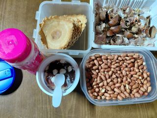 별빛농장지기님의 자유주제 · 자유게시판 작성글 사진