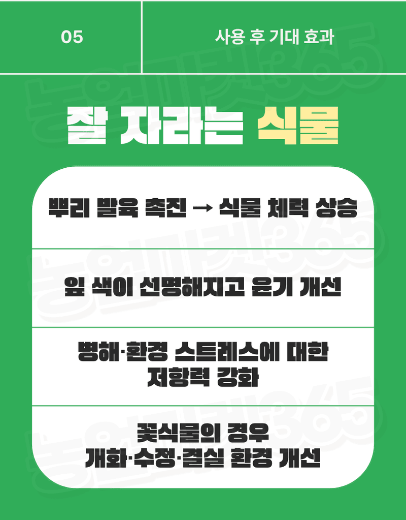 농업마켓365님의 장터 판매 상품 [모든식물엔 & 모든꽃피움엔 분무형 반려식물 종합케어 SET 식물영양제 화분영양제] 첨부 사진