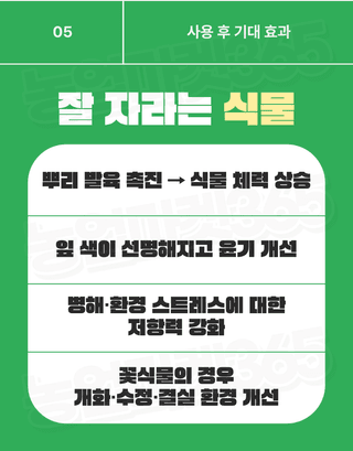 농업마켓365님의 작성글 사진