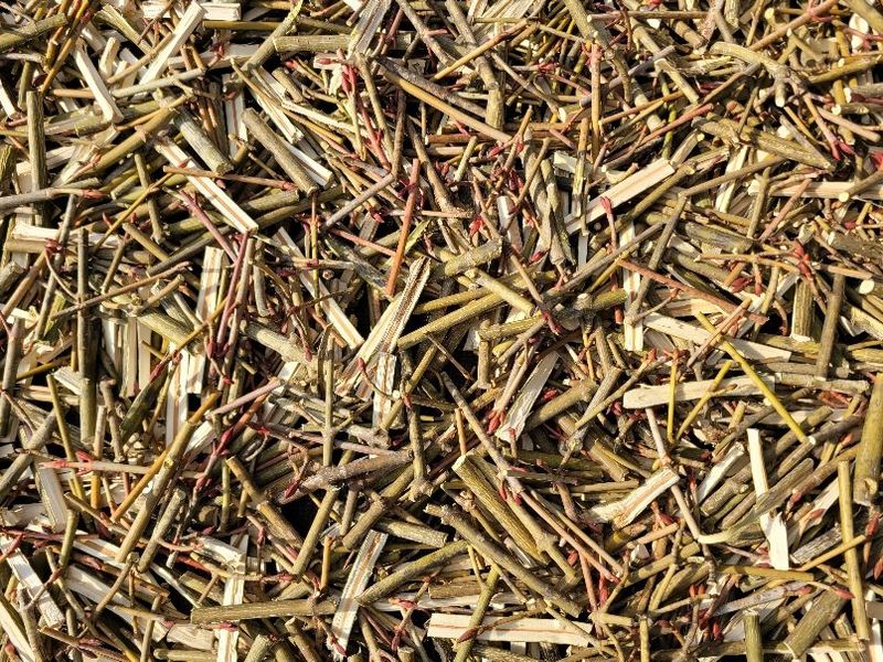 장터 상품 [벌나무 산청목 건가지 1kg] 썸네일