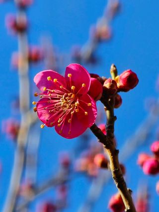 안길원님의 자유주제 · 자유게시판 작성글 사진