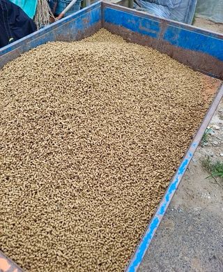 곽사장님의 기타작물·자유게시판 작성글 사진