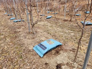 최상길 님의 자유주제 · 사진전 작성글 사진