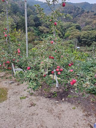 최종하님의 자유주제 · 자유게시판 작성글 사진