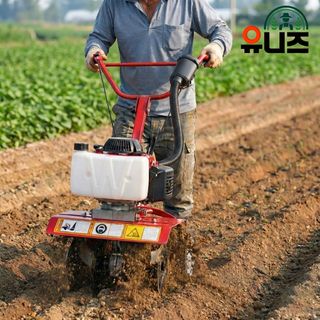 유니즈님의 작성글 사진