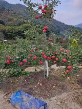 팜모닝 자유주제·자유게시판 게시글 이미지