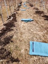 팜모닝 자유주제·사진전 게시글 이미지