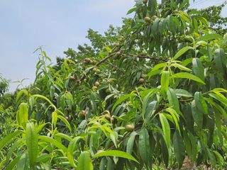 댕이골표영환님의 자유주제 · 자유게시판 작성글 사진