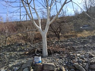 김용대님의 자유주제 · 자유게시판 작성글 사진