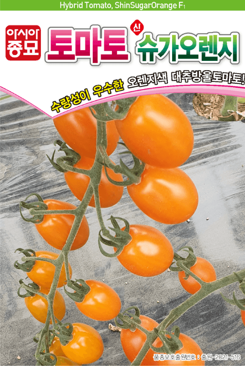 장터 상품 [[팜이웃 한정 초초특가] 토마토 상추 옥수수 등 종자 한정 특가판매] 썸네일