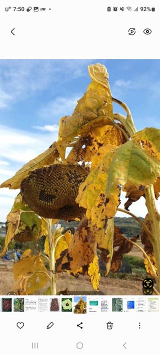 정찬영님의 작성글 사진
