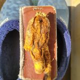 이창화님의 자유주제·자유게시판 작성글 사진