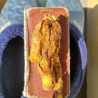 이창화님의 자유주제 · 자유게시판 작성글 사진