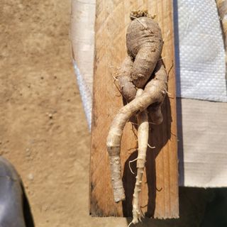 이창화님의 자유주제 · 자유게시판 작성글 사진