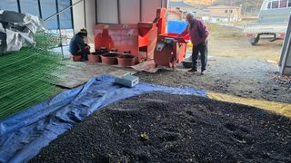 이동준님의 콩 · 자유게시판 작성글 사진