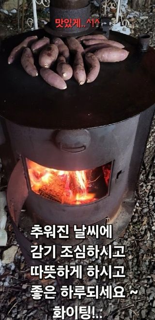 원영님의 자유주제 · 자유게시판 작성글 사진