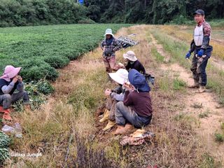 농촌이백억농원^^님의 자유주제 · 자유게시판 작성글 사진