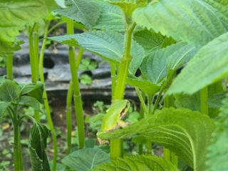 준영농장 출석왕.님의 자유주제 · 사진전 작성글 사진
