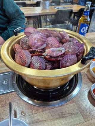 김영진(전남영광)님의 자유주제 · 자유게시판 작성글 사진