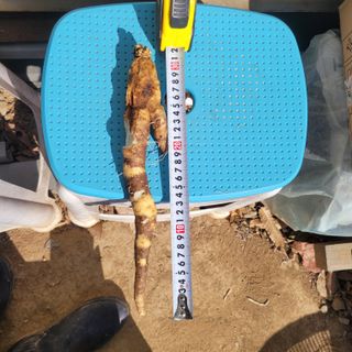 이창화님의 자유주제 · 자유게시판 작성글 사진