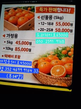 제주 지안이네농장님의 자유주제 · 자유게시판 작성글 사진