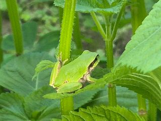 준영농장 출석왕.님의 자유주제 · 사진전 작성글 사진