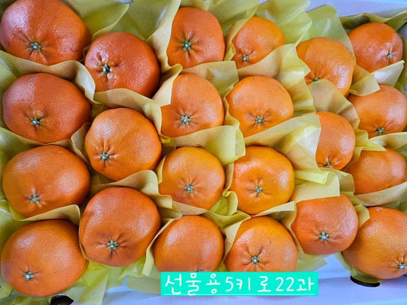 장터 상품 [레드향 3키로선물용] 썸네일