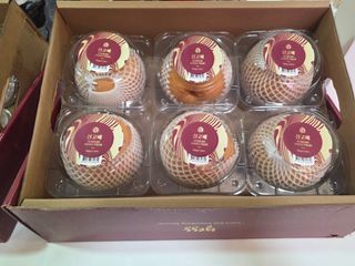 논산푸른팜님의 자유주제 · 자유게시판 작성글 사진