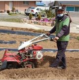 팜모닝 · 게시글 이미지