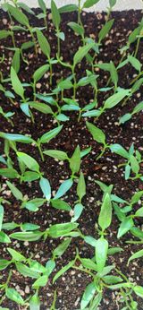 하은와송~♡♡♡~님의 자유주제·자유게시판 작성글 사진