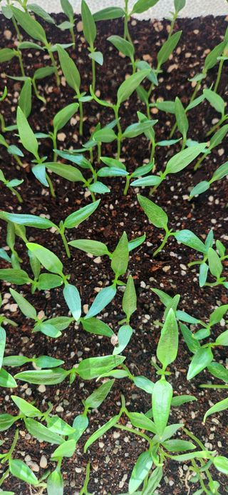 하은와송~♡♡♡~님의 자유주제 · 자유게시판 작성글 사진