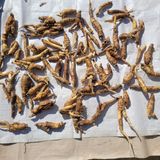 팜모닝 자유주제·자유게시판 게시글 이미지