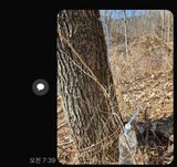 팜모닝 자유주제·자유게시판 게시글 이미지