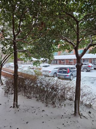 제주 지안이네농장님의 자유주제 · 자유게시판 작성글 사진