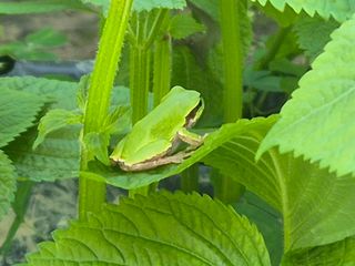 준영농장 출석왕.님의 자유주제 · 사진전 작성글 사진