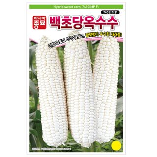 농업마켓365님의 작성글 사진