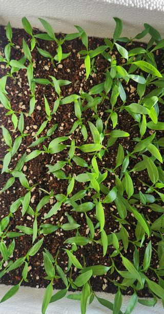 하은와송~♡♡♡~님의 자유주제 · 자유게시판 작성글 사진