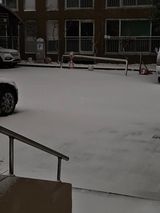 팜모닝 자유주제·자유게시판 게시글 이미지