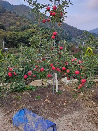 최종하님의 작성글 사진