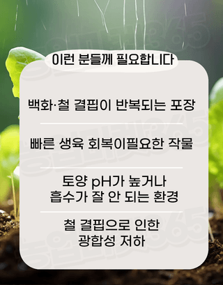농업마켓365님의 작성글 사진