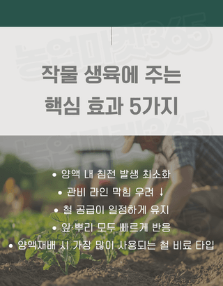 농업마켓365님의 작성글 사진
