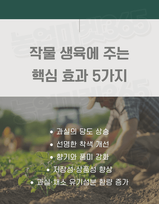 농업마켓365님의 작성글 사진