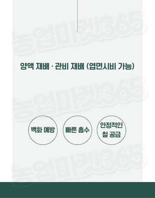 농업마켓365님의 작성글 사진